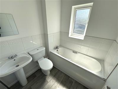 Picture 20